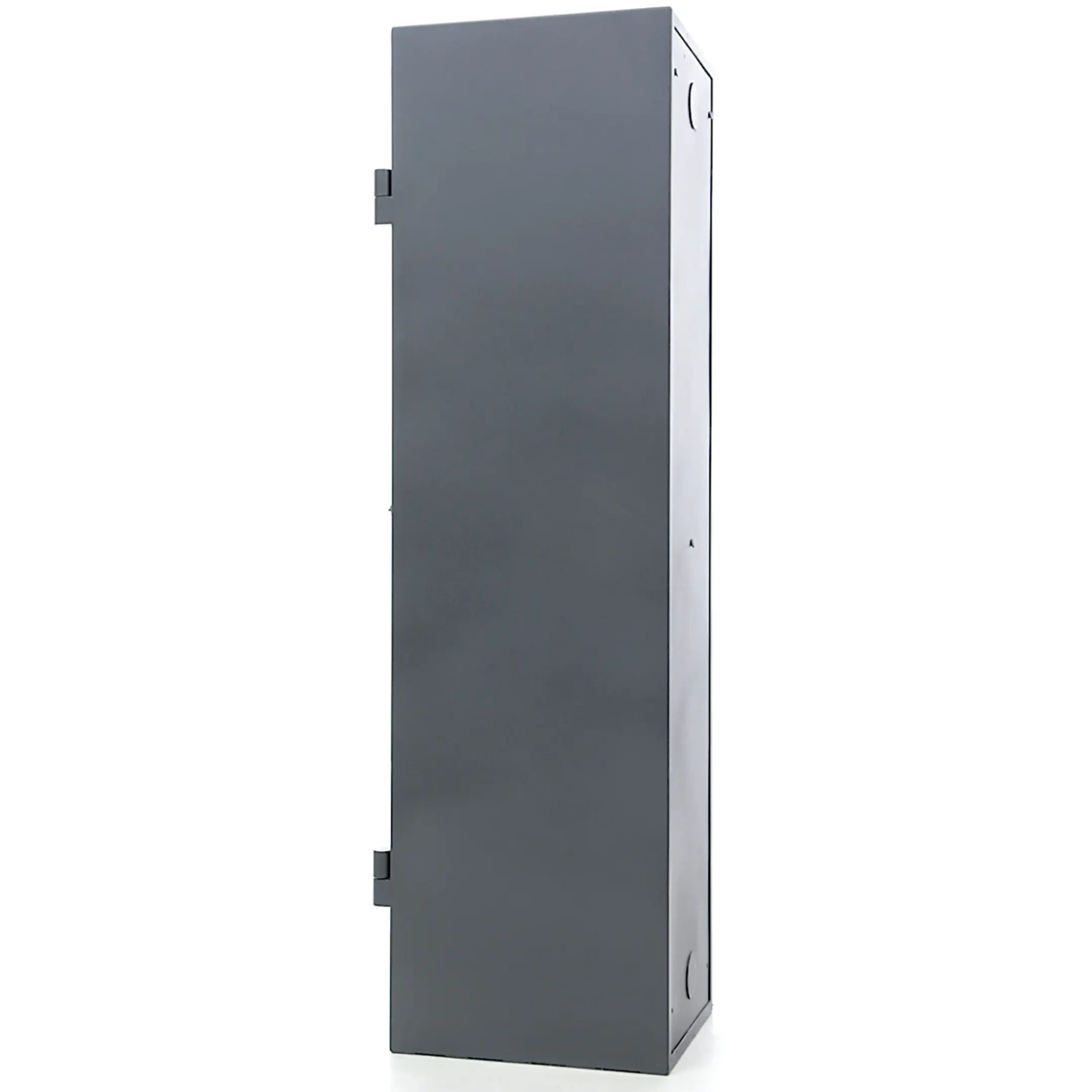 Сейф оружейный ASG/WS3