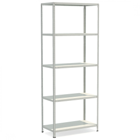 Стеллаж СТФЛ 1055-2.5 (2500х1000х500-5)