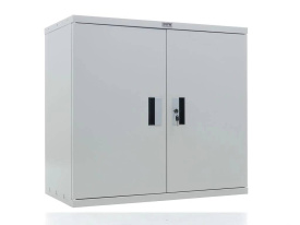 Шкаф ПРАКТИК СВ-01