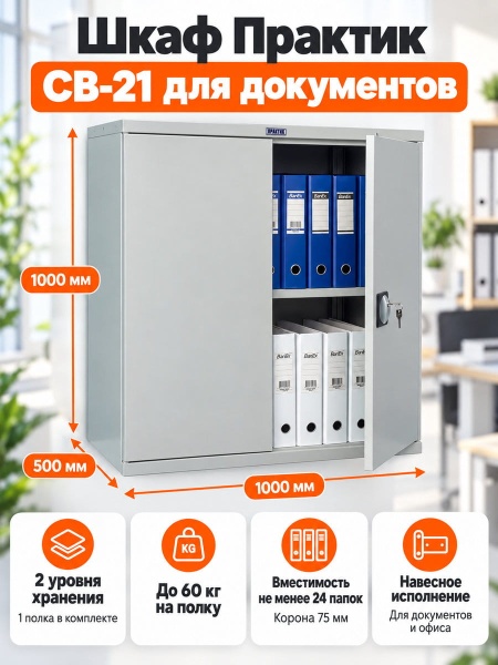 Шкаф Практик СВ-21